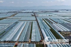 城的财产正朝着高端化、智能化、绿色化的标的
